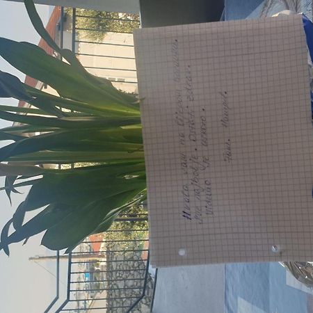 Apartment Goran Novi Vinodolski Bagian luar foto