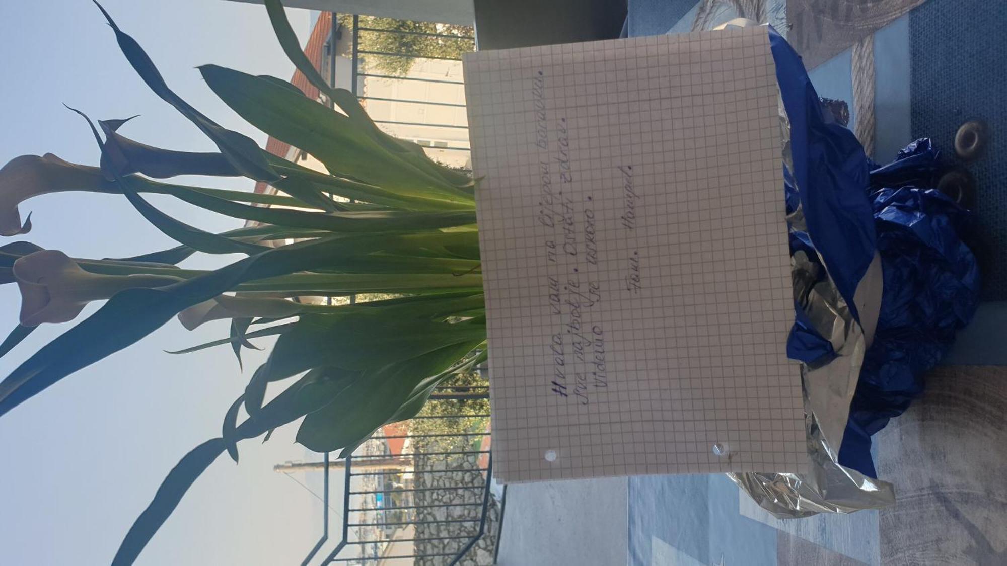 Apartment Goran Novi Vinodolski Bagian luar foto